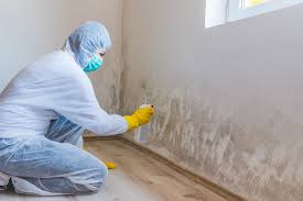 Mold Remediation for Vacation Homes in Elkin, NC